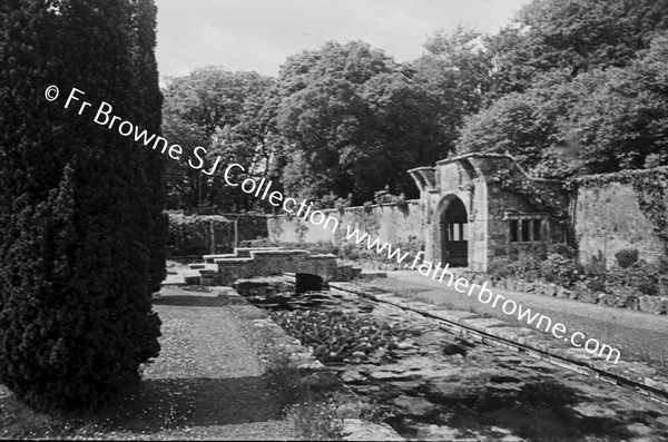 DROMOLAND CASTLE IN THE GARDEN LILLY POND